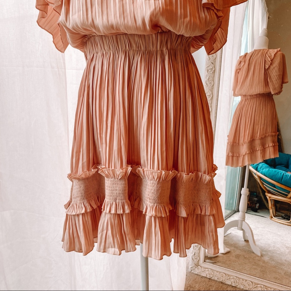 Pink Ruffled Dress - Picture 3 of 4